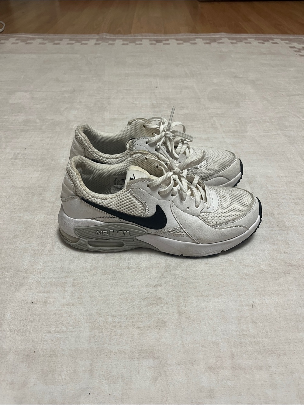 Nike Air Max Shoes